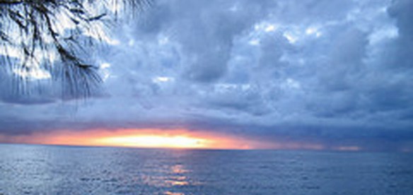 Hawaiian sunrise, walmartroadie