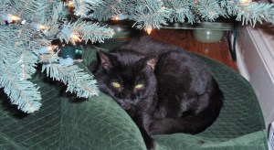 It was Jake's turn here.