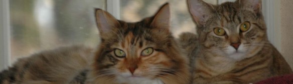 Mollie and Hazel during happy times