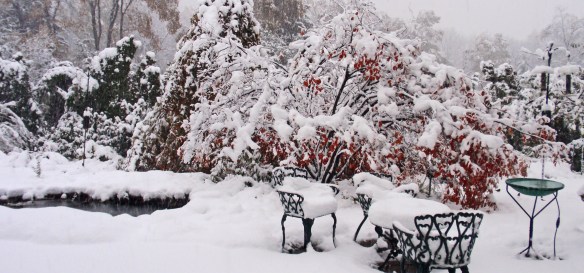 A previous snowstorm