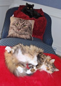 Jake and Mollie on the lounge