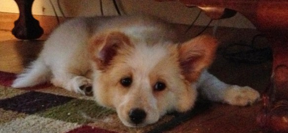 Seriously, I didn't do it!