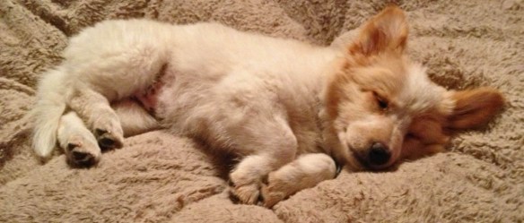 Sleeping Nora horizontal