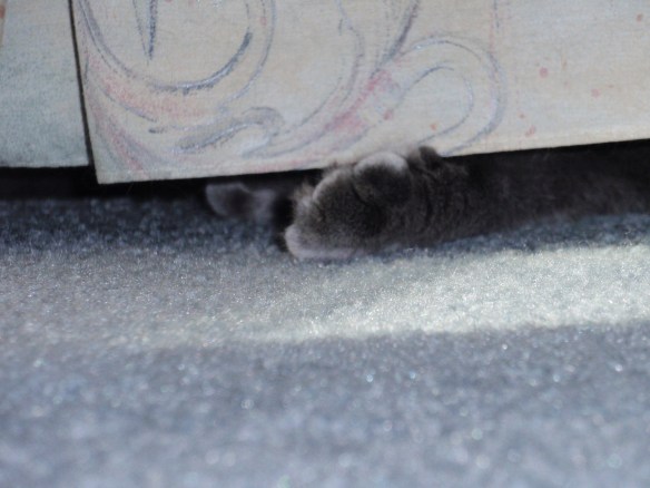 Where'd it go? I just had that toy and it's lost!