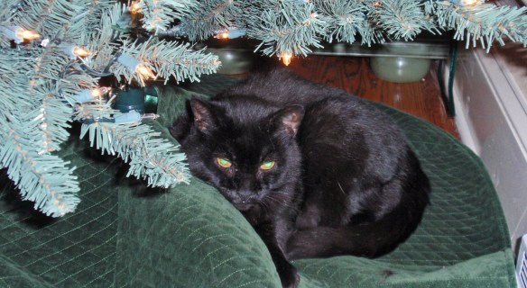 Jake: Listen Cupcake, wake me when it's over!