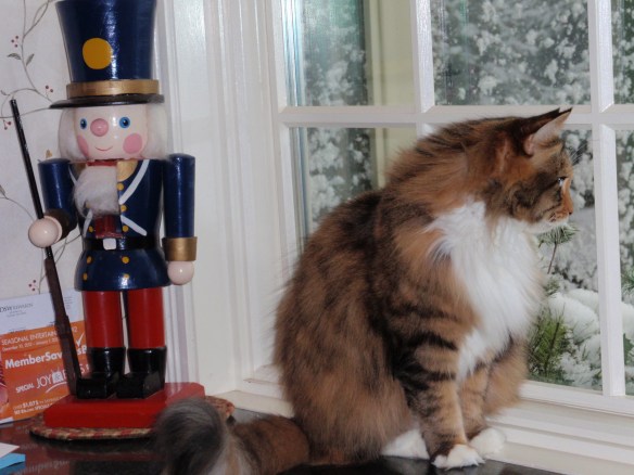 Mollie: Holy blizzard Batman! It's coming down!