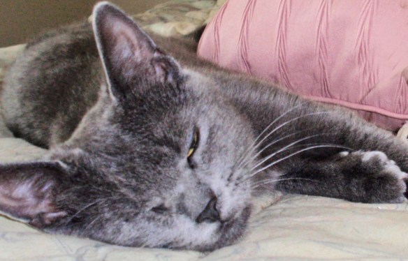 I don't feel so good.