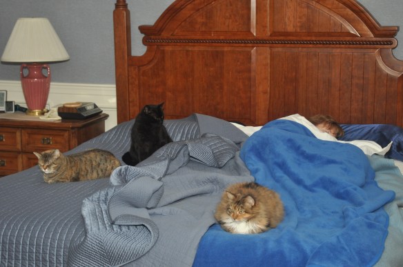 Is she ok? Is she breathing? Will she be able to feed us? Is it time for dinner yet?