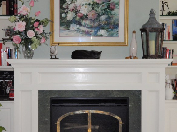 What do you mean I'm not supposed to be here. I won't break anything!