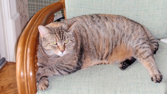 Hazel: Look at me! Do I look like I've ever barfed anything I ate?