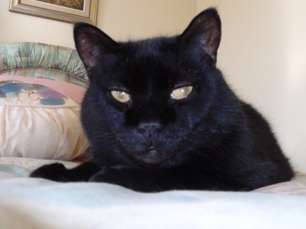 Jake: Listen Cupcake, I don't know what you're complaining about. It wasn't your ass they were probing!