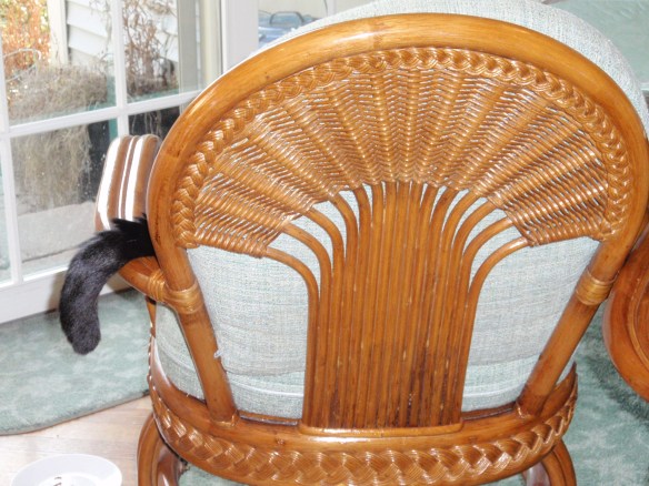 Jake: Hey Yo Cupcake! I need a drink! I'm here on the chair! Put an ice cube in it too! 