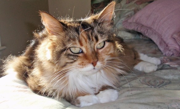 Mollie on a better day.