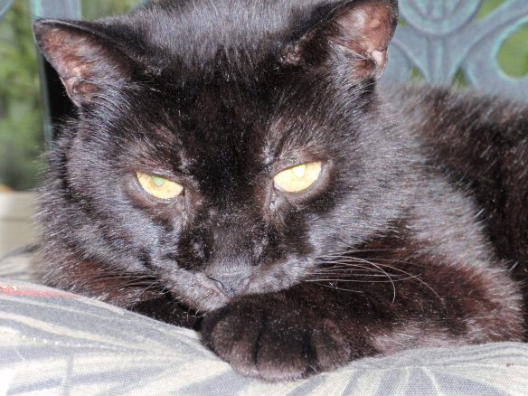 Don't blame me if your day got screwed up!