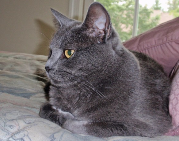 Morgan just getting up from a nap.