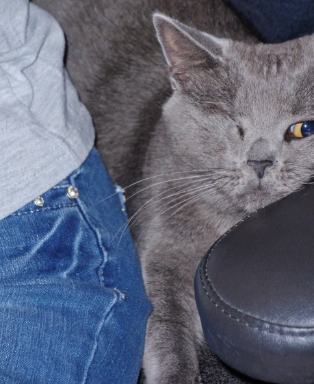 Will ya move over? I can barely fit my tail in here!