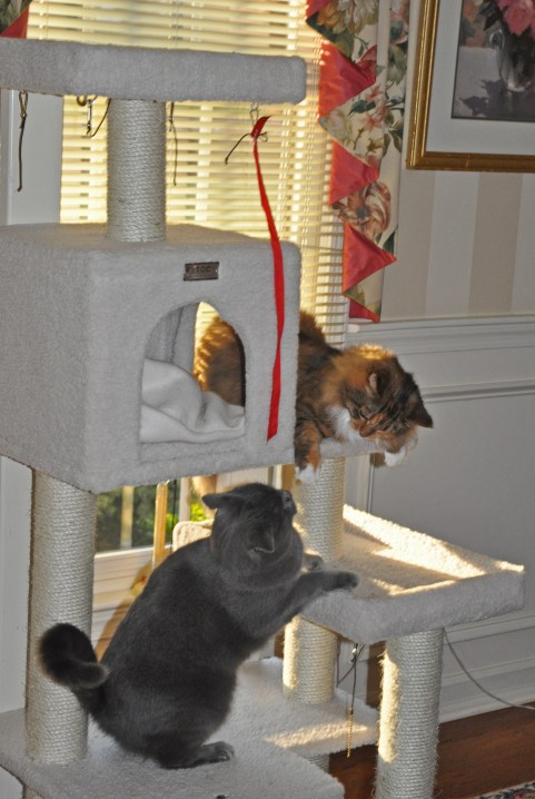 Taken just before the slaps.