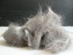 Source: Georgia Gifts Catblog