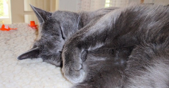 Don't pester me now.