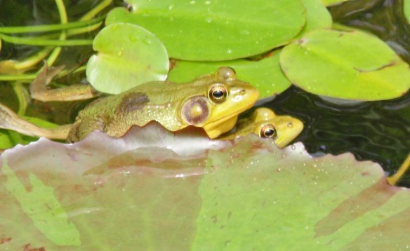 A little to the right. Yes, that's the spot!