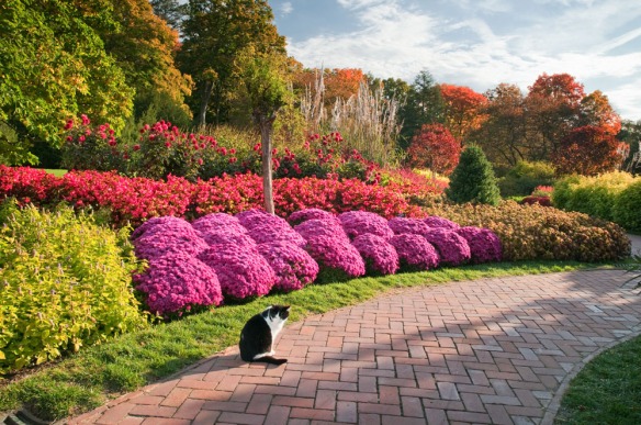 Ok, I cheated. This is Longwood Gardens but some garden centers are just as beautiful. Courtesy of Longwood Gardens.