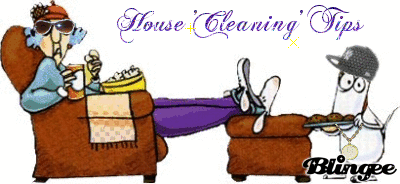 Maxine - cleaning tips