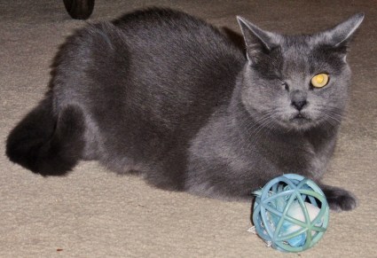 Morgan with gift from her blogger buddy!