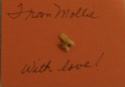 Mollie's rotten stinky tooth
