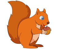 squirrel holding acorn nut clipart