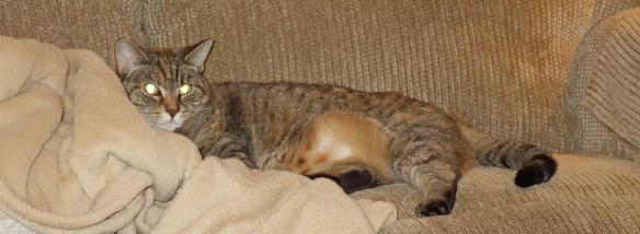 hazel-sofablanket2016