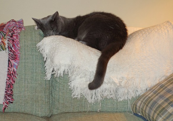 morgan-topofsofa2016