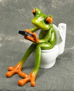 frog-on-toilet-pinterest